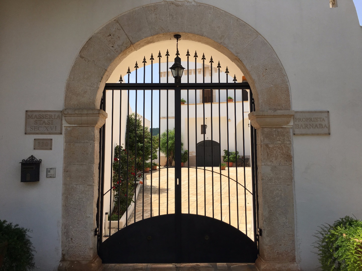 Particolare